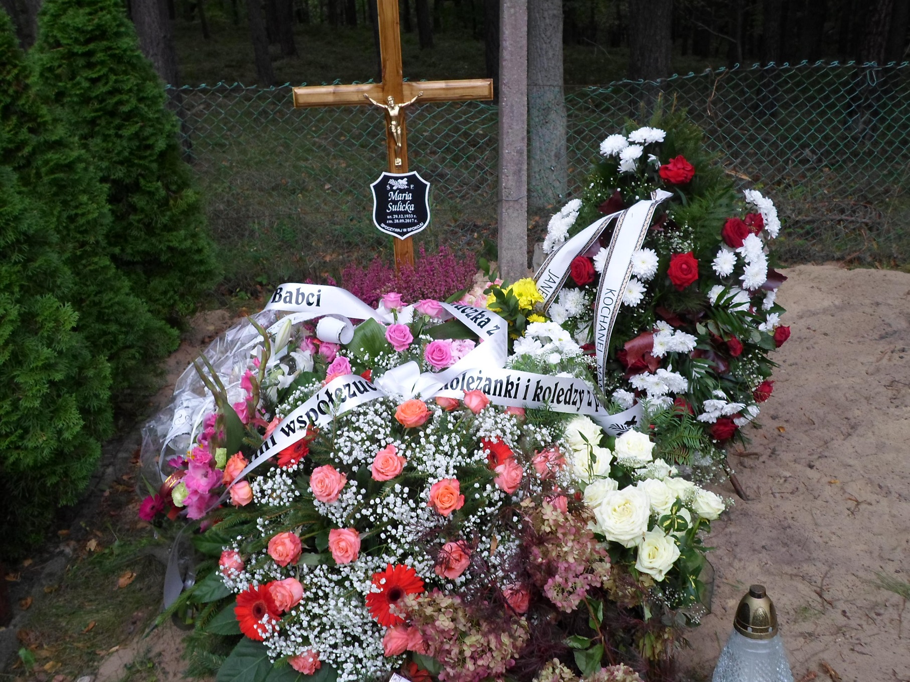 Grób Maria Sulicka