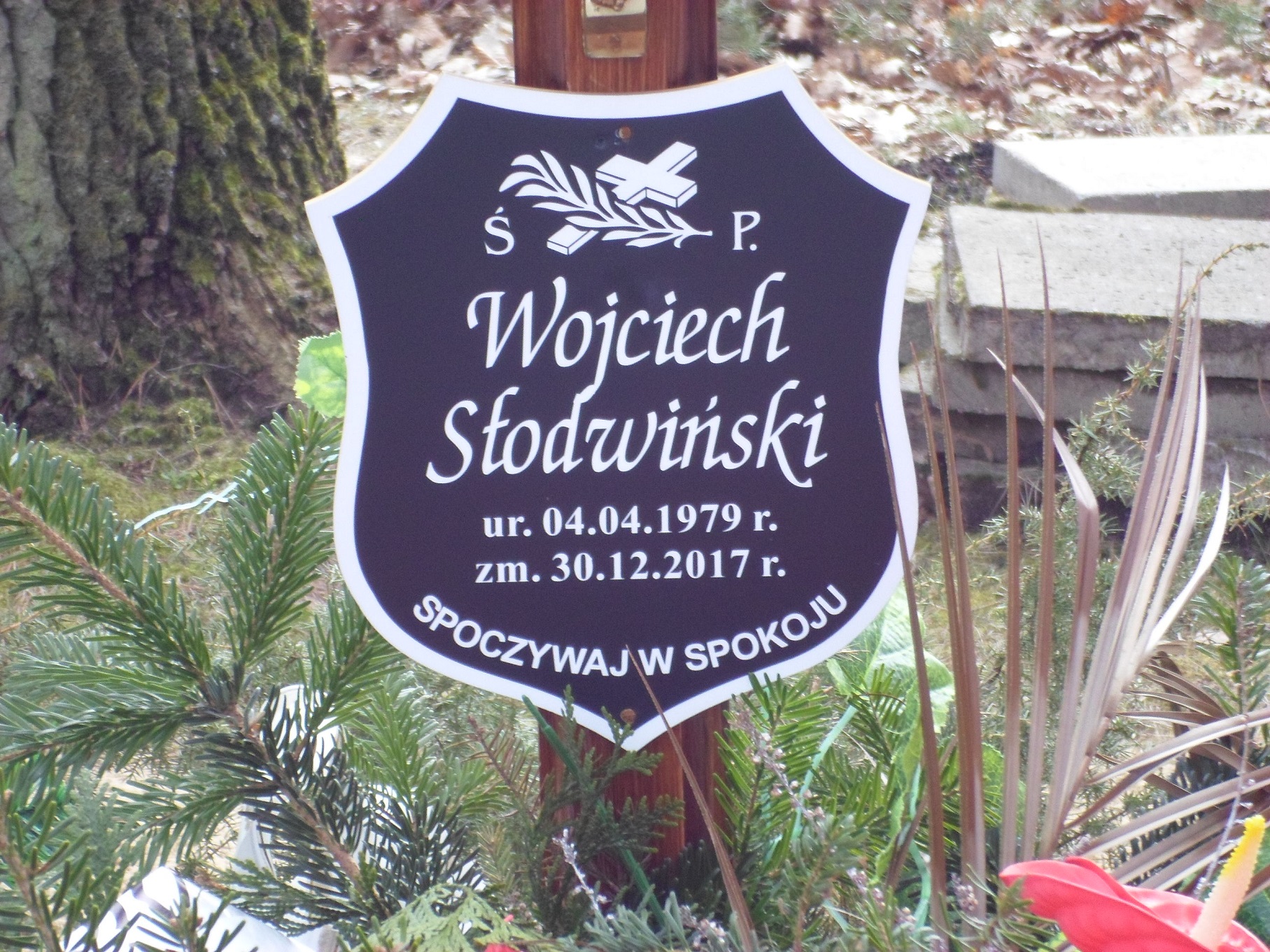 Wojciech Słodwiński 1979 Międzyzdroje - Grobonet - Wyszukiwarka osób pochowanych