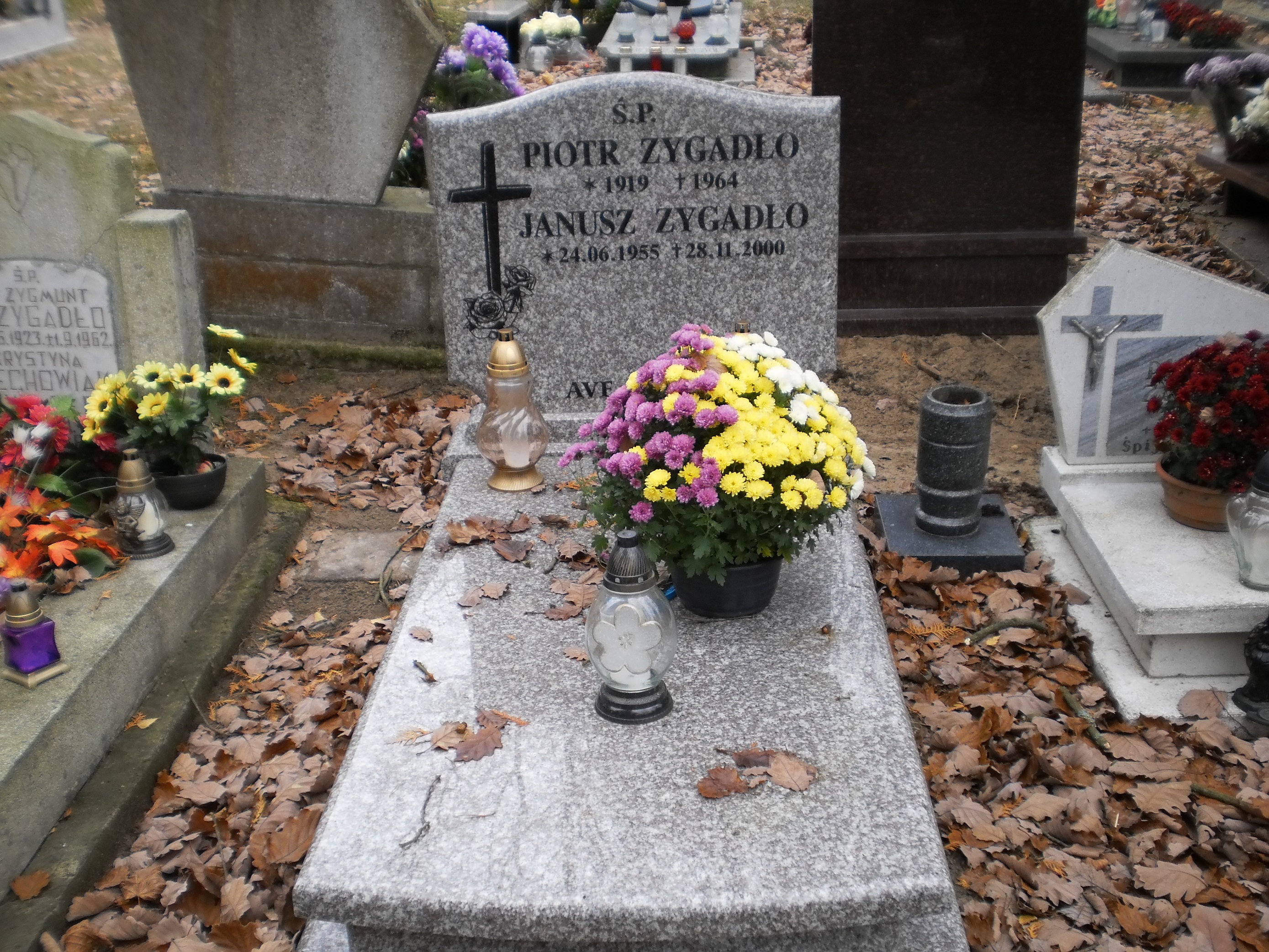 Janusz Zygadło 1955 Międzyzdroje - Grobonet - Wyszukiwarka osób pochowanych