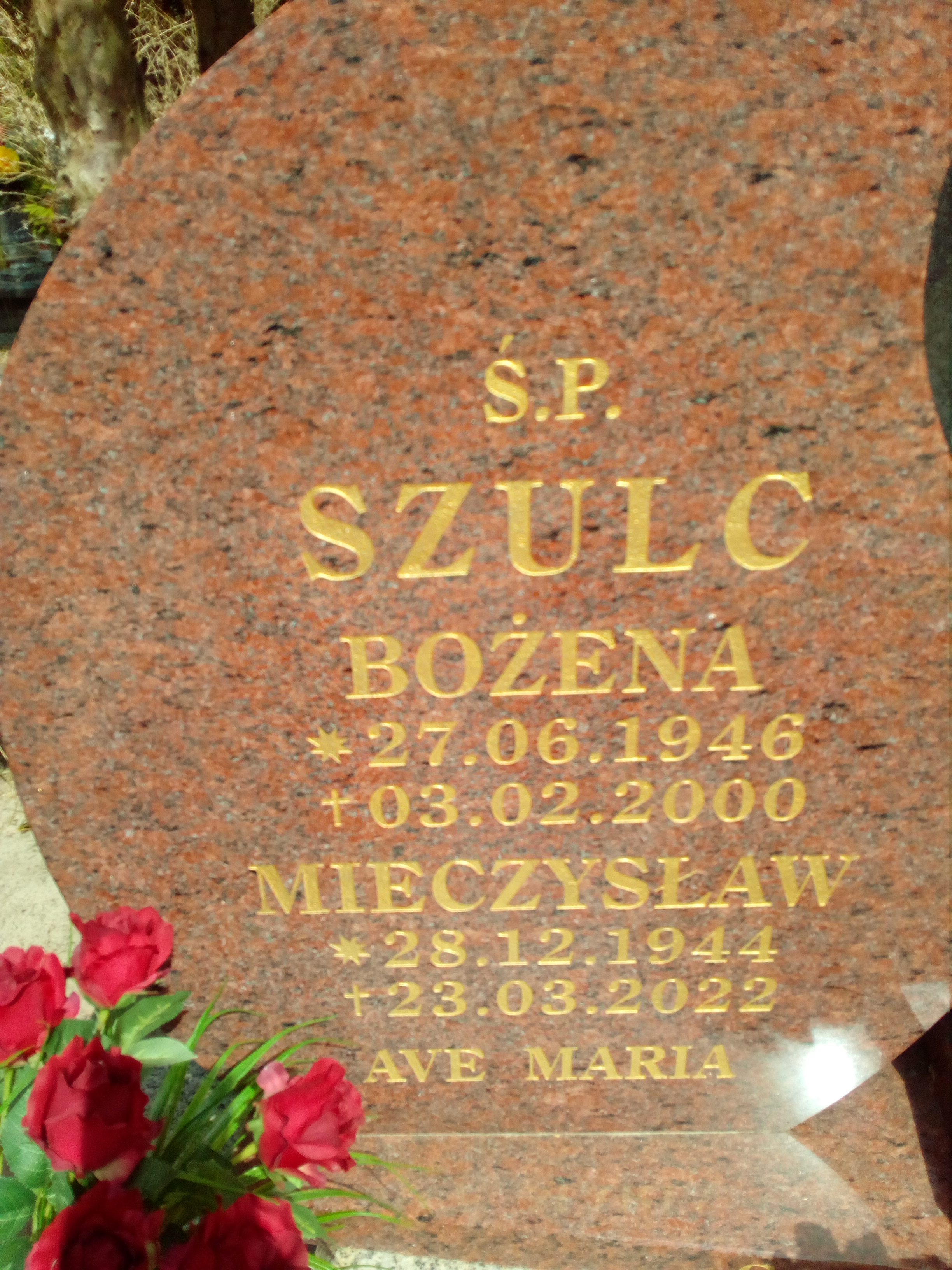 Grób Mieczysław Szulc