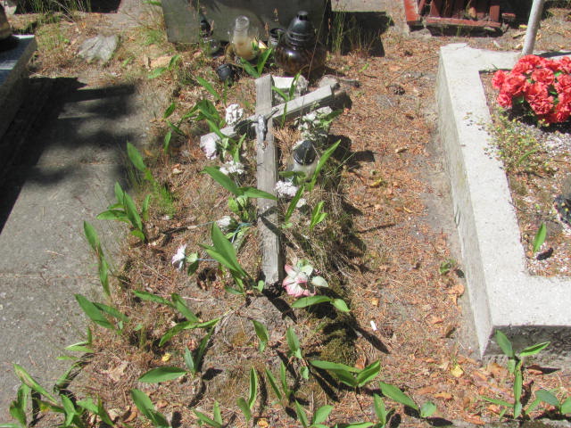  NN Międzyzdroje - Grobonet - Wyszukiwarka osób pochowanych