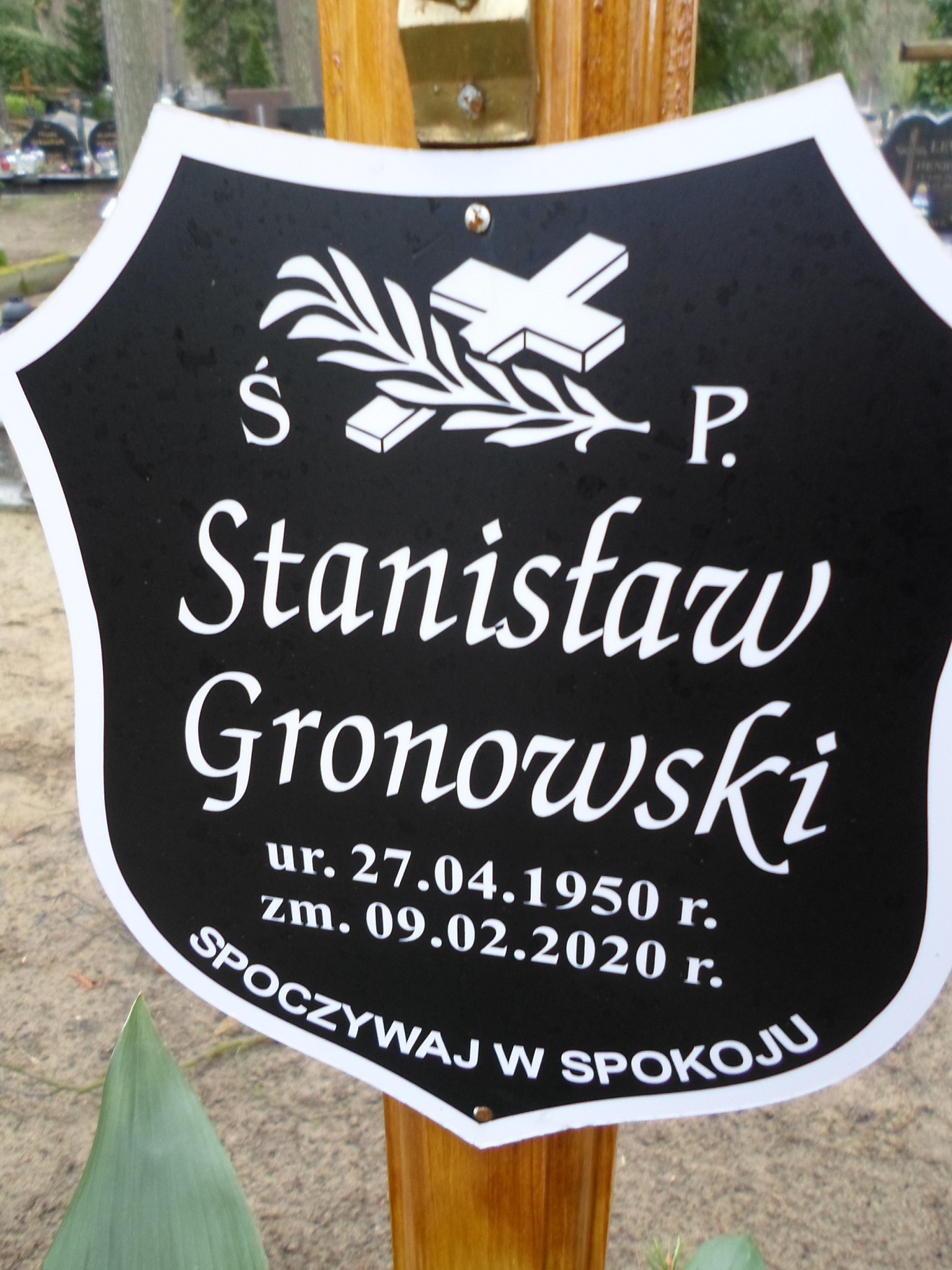 Teodor Gronowski 1924 Międzyzdroje - Grobonet - Wyszukiwarka osób pochowanych