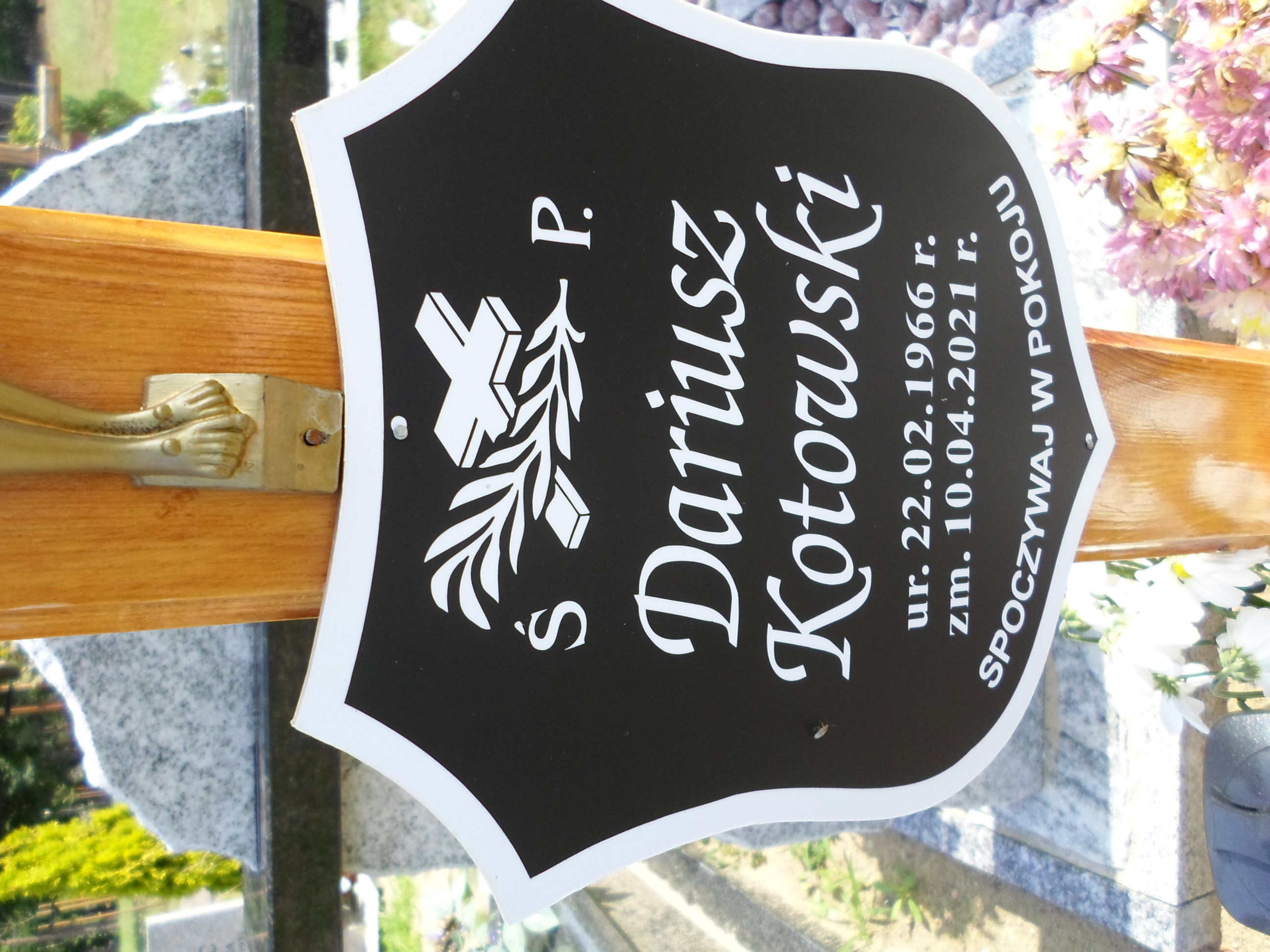 Dariusz Kotowski 1966 Międzyzdroje - Grobonet - Wyszukiwarka osób pochowanych